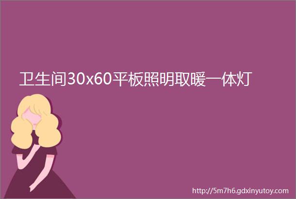 卫生间30x60平板照明取暖一体灯