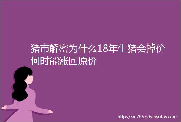 猪市解密为什么18年生猪会掉价何时能涨回原价